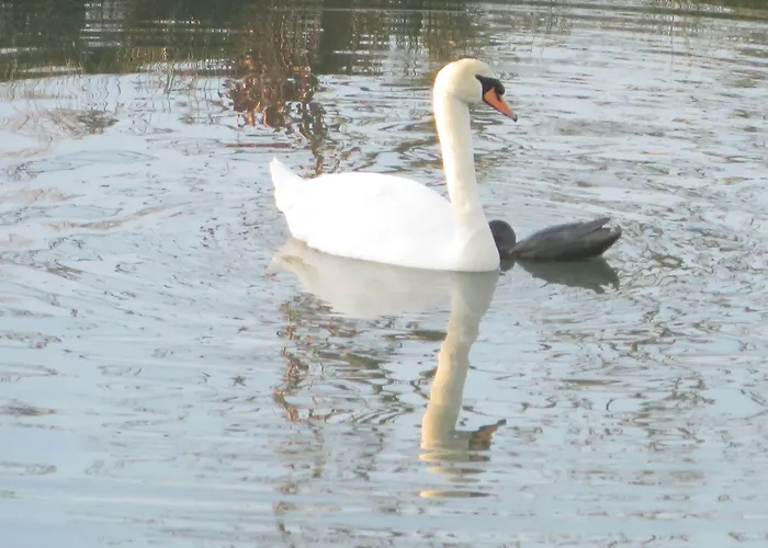 Chateau De La Semondiere 4* Brécey